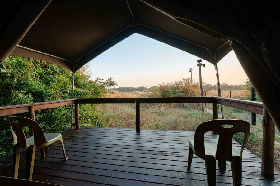 Bots_Chobe Noka_Twin Tent View 1