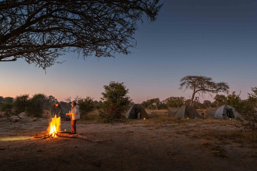 Bots_Wilderness Dawning Mobile_Camp Fire 2