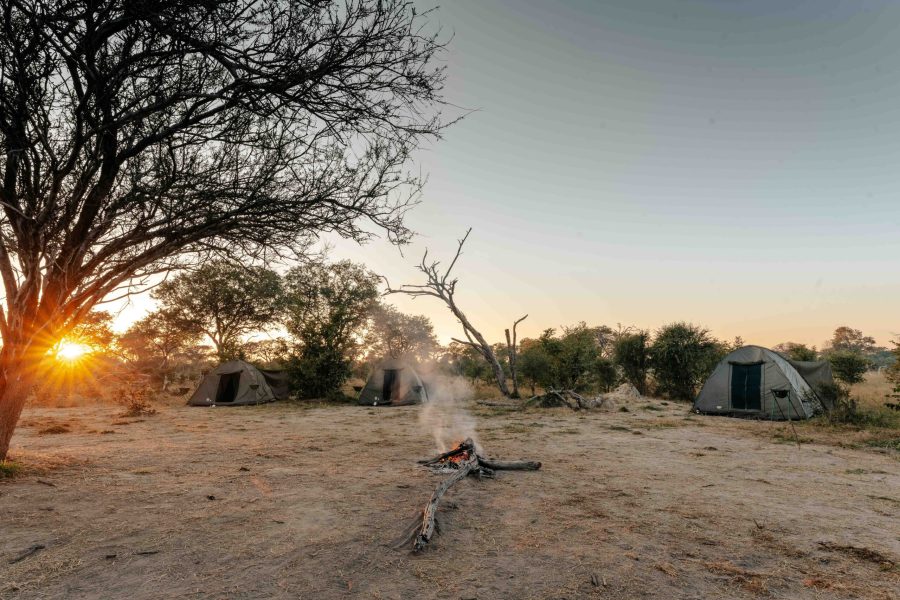 Bots_Wilderness Dawning Mobile_Camp Fire 3