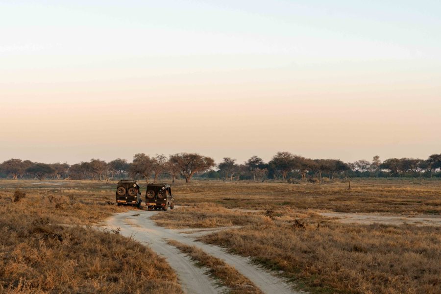 Bots_Wilderness Dawning Mobile_Game Drive 1