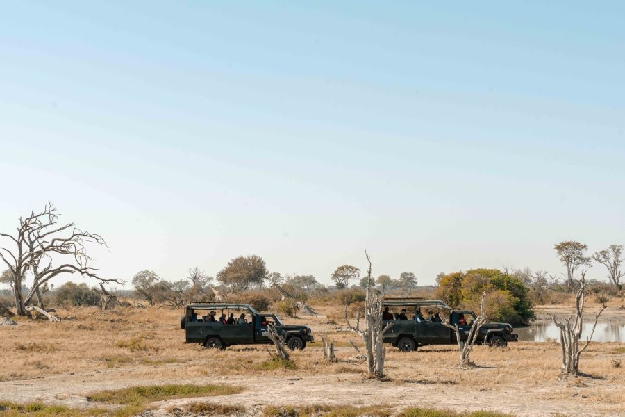 Bots_Wilderness Dawning Mobile_Game Drive 3