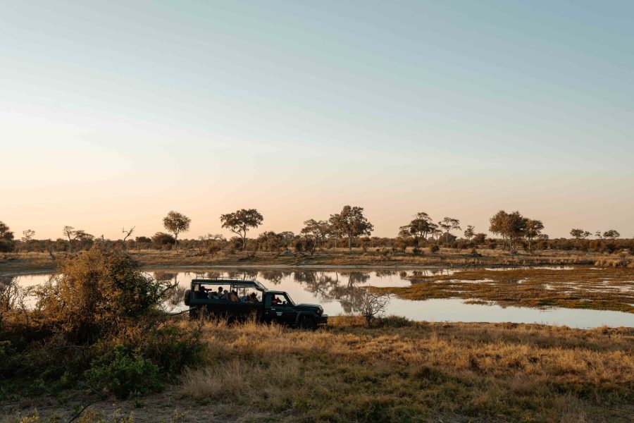 Bots_Wilderness Dawning Mobile_Game Drive 4
