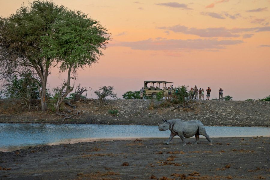 WD_15Day_Rhino-Waterhole