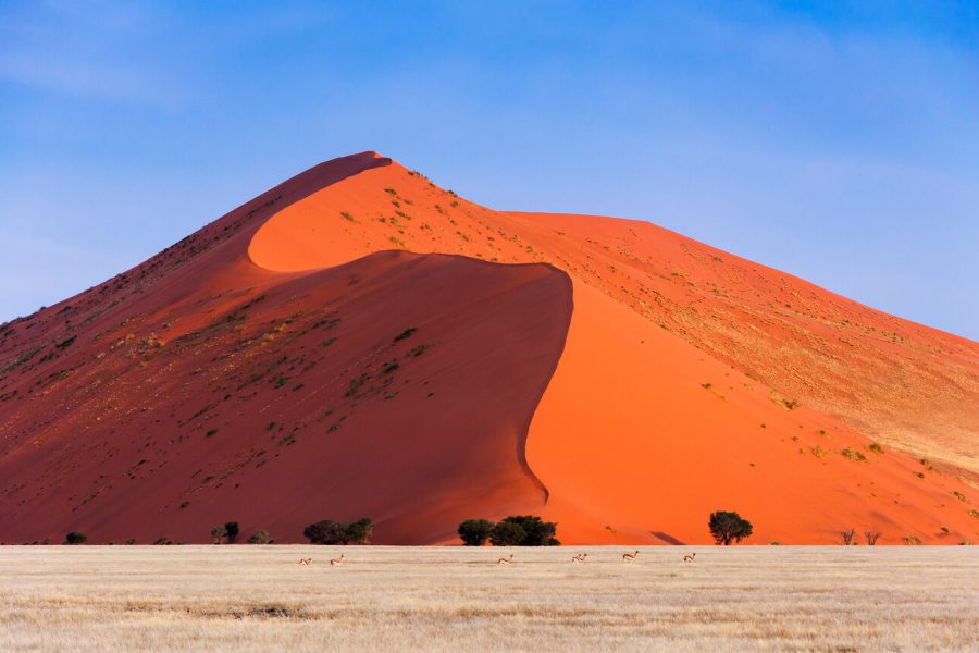 WD_15Day_Sossusvlei-Dune